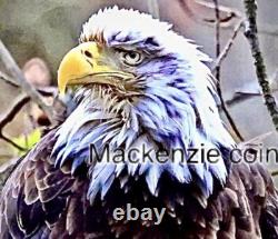 1973 2 Silver Limited Proof Set Rounds. 27grams ea 92.5 1/10/26 spot about $120