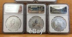 2011 P, W, S 25th Anniversary Silver Eagle 5 Coin Set NGC PF70, MS70