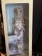 Franklin Mint Princess Diana Nrfb With Coa Silver Gown