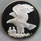 Franklin Mint Roberts Birds 1971 Bald Eagle Sterling Silver Proof Medal No. 11