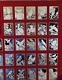 Franklin Mint State Bird And Flowers 1.25 Oz Sterling Silver Art Bars Lot Of 28