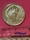 Genius Of Michelangelo The Damned Man 1.25 Oz Sterling Silver Medal Medal Coin